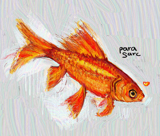 Study - Goldfish