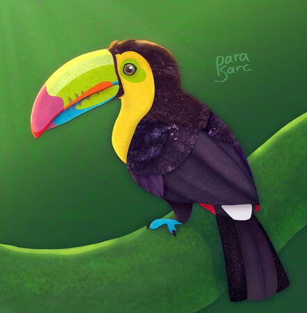 Digital Collage - Toucan